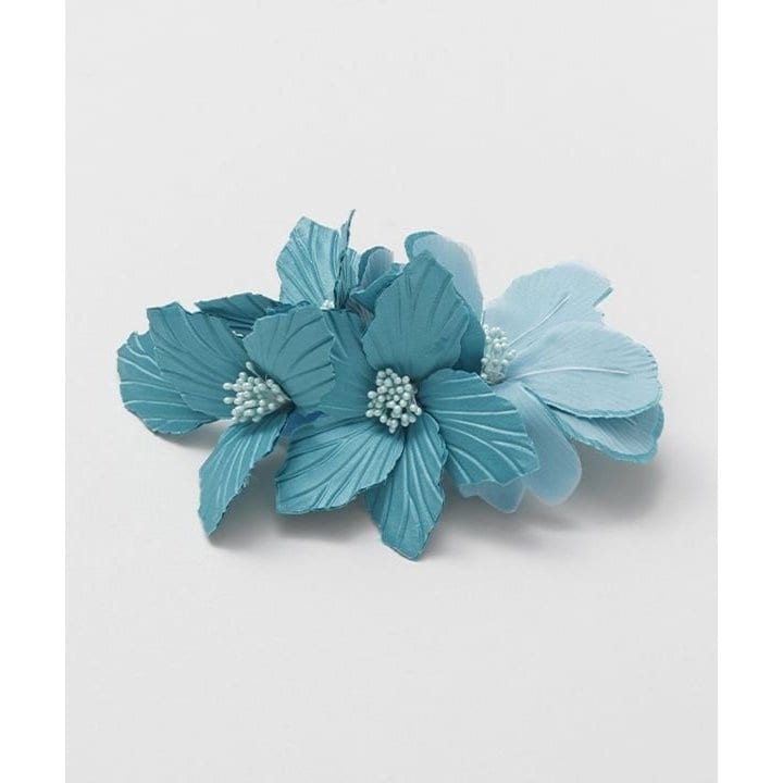 [}C]y}EiAzX^COVFJ[CLP/}EiAimaunaloaj u[n̑