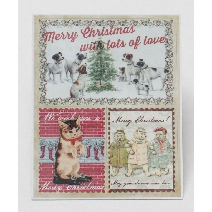 [}C]yBqHzAj}3XebJ[/BqHioushukouroj }`