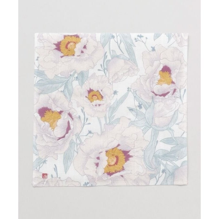 [}C]yJzԂӂ/Jikayaj ̑2