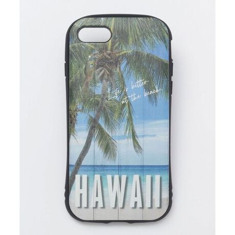 [^ԁF4SJP3113-2024]wʂPUfށB^t^CvȂ̂ŏՌɋB