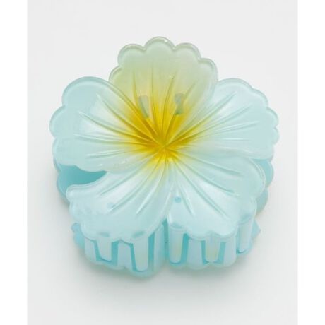 [^ԁF42CZ5209-2025]݊̂JtȃnCrXJX̃wANbvBobOɕtĂ炵łB