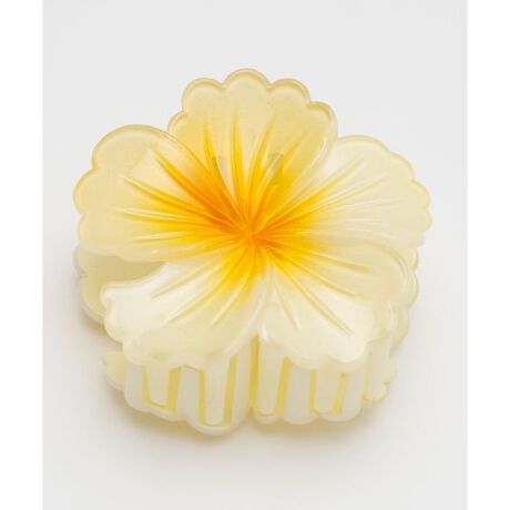 [^ԁF42CZ5209-2025]݊̂JtȃnCrXJX̃wANbvBobOɕtĂ炵łB