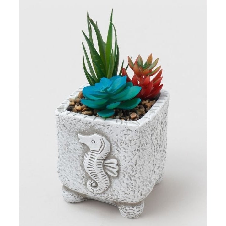 [�}���C]�y�J�q�R�z�t�F�C�N�v�����cM/�J�q�R�iKahiko�j ���̑�2