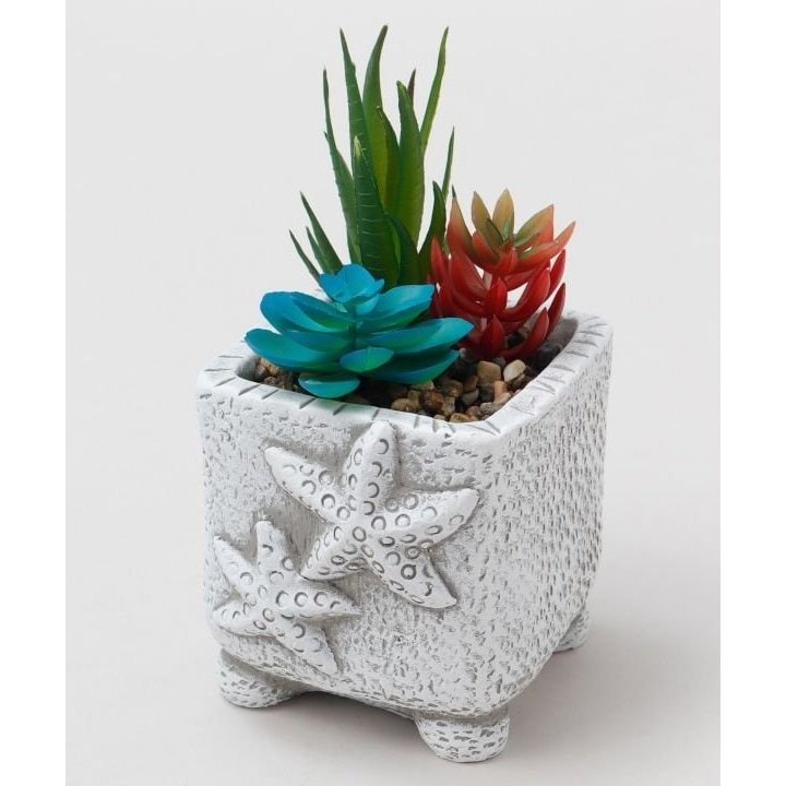 [�}���C]�y�J�q�R�z�t�F�C�N�v�����cM/�J�q�R�iKahiko�j ���̑�4