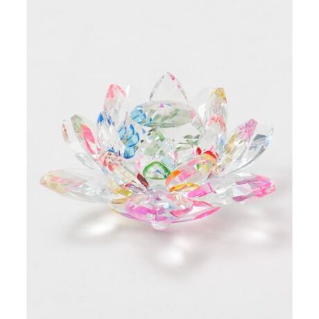 [^ԁFCYWP5706-2025]IG^ȕ͋CYKX[^X̃IuWFBD̒ւ̉Ԃ炩@́u򉻁EĐv̈ӖƉ]BždȂKX̉Ԃтɔ˂AɔU΂߂܂BK^̒Ƃ̑N₩ȐFɂāuzv̉^CAK^тB