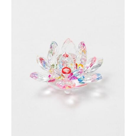 [^ԁFCYWP5704-2025]IG^ȕ͋CYKX[^X̃IuWFBD̒ւ̉Ԃ炩@́u򉻁EĐv̈ӖƉ]BždȂKX̉Ԃтɔ˂AɔU΂߂܂BK^̒Ƃ̑N₩ȐFɂāuzv̉^CAK^тB