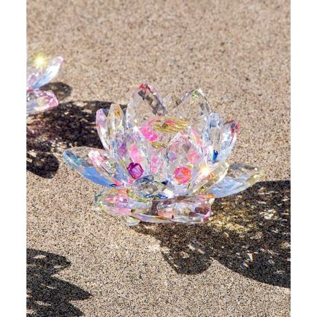 [^ԁFCYWP5705-2025]IG^ȕ͋CYKX[^X̃IuWFBD̒ւ̉Ԃ炩@́u򉻁EĐv̈ӖƉ]BždȂKX̉Ԃтɔ˂AɔU΂߂܂BK^̒Ƃ̑N₩ȐFɂāuzv̉^CAK^тB