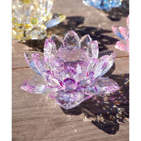 [^ԁFCYWP5703-2025]IG^ȕ͋CYKX[^X̃IuWFBD̒ւ̉Ԃ炩@́u򉻁EĐv̈ӖƉ]BždȂKX̉Ԃтɔ˂AɔU΂߂܂Bꂼ̐Fɂāuzv̉^CAK^тB