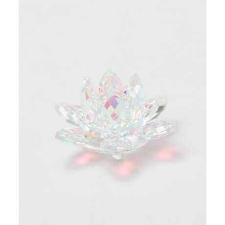 [^ԁFCYWP5707-2025]IG^ȕ͋CYKX[^X̃IuWFBD̒ւ̉Ԃ炩@́u򉻁EĐv̈ӖƉ]BždȂKX̉Ԃтɔ˂AɔU΂߂܂Bu׎vuv̈Ӗ~[ꍞ݂܂B́uzv̉^CK^тB