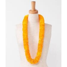 マウナロア(maunaloa)の【マウナロア】イリマショートレイ