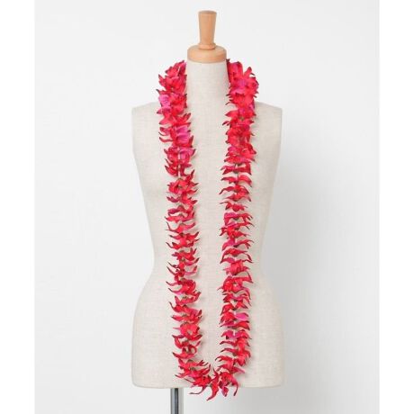 [^ԁFYCKZ0328-2025]uDv̉ԌtI[LbhB_炩ȐFŉȃI[LbhOCɎdグ܂BÔߓdɃAWł܂BԂт̃Of[VXe[W؂₩ɉo܂B