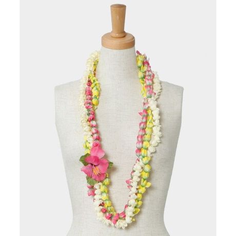 [^ԁFYHNZ0311-2025]sJPƃ[Ŷڂ݂3A܂ȃCB