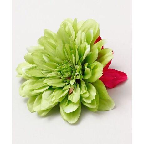 [^ԁFYCKZ0301-2025]ɉ؂€^ւ̃_A2̏ԂȃVrWEBtς邾ŁAۂy߂܂B