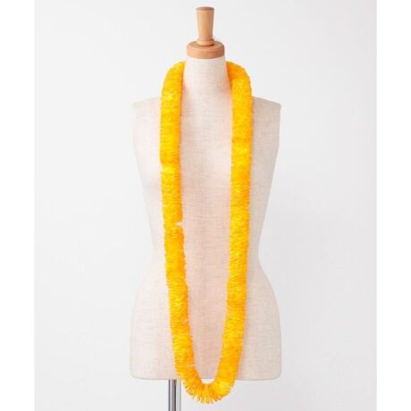 [^ԁFYCKZ0309-2025]X^_[hȃC}̃OCBdɂȂԂт炪Ȕ܂B