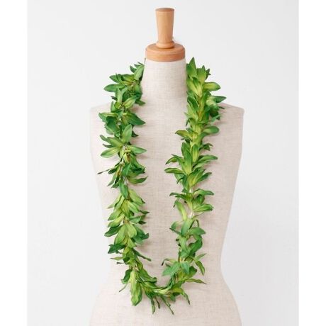 [^ԁFYCKZ0333-2025]ԐlC̃XpC_[[CB AW₷̂ŁA2Fgݍ킹ă{[Abv̂߂łB