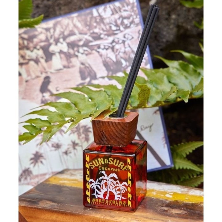 [}C]yJqRzifBt[U[ySURF&Palmsz/JqRiKahikoj ̑3