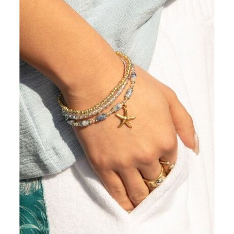 [^ԁF42CZ5216-2025]I[H̃KX߂ZbguXB̓̋Cőgݍ킹ĂyłB