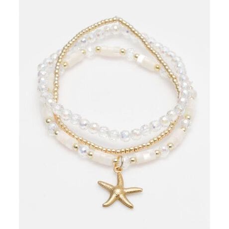 [^ԁF42CZ5216-2025]I[H̃KX߂ZbguXB̓̋Cőgݍ킹ĂyłB