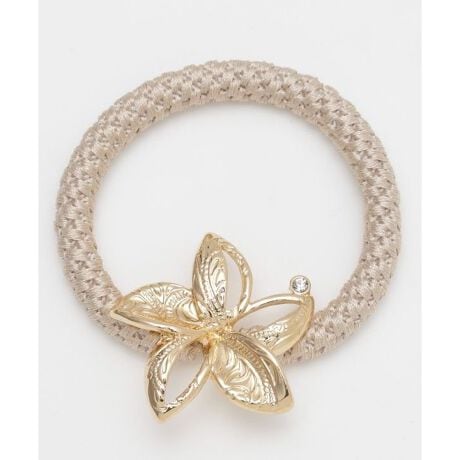 [^ԁF46PZ5303-2025]vAɃnCAWG[̍{wASBrɂĂfGłBƋPCXg[|CgB