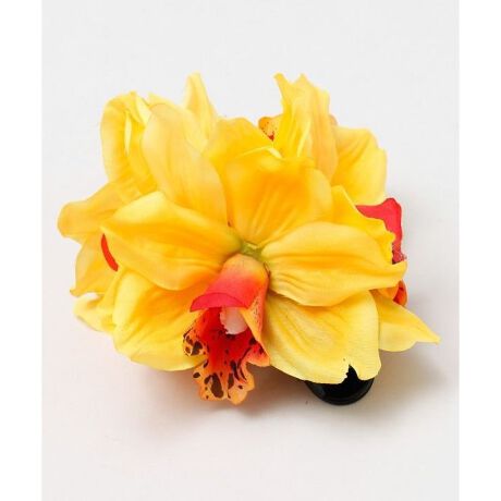 [^ԁFYTFZ5302-2025]FA`Ƃɂ܂Ŗ{̂悤ɔVrWENbvB_EwAAAbvwAƂɐFYAlɃVtg܂B