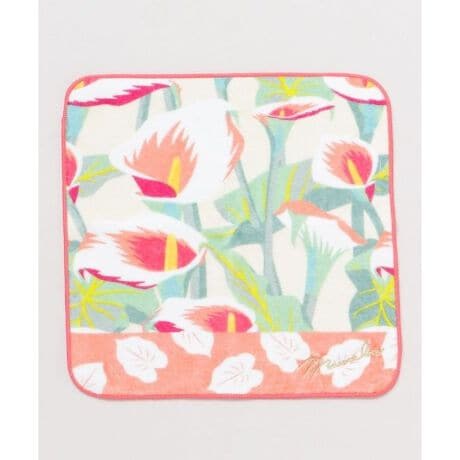 [^ԁFYBMP5302-2025][hJłӂǂAJ[̂Ԃvgꂽ^InJ`B\n͏_炩ȔGAʂ̓pCnŋz̗ǂꖇBS[hhJ̃}EiASANZgB