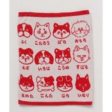 【カヤ】犬のお名前腹巻き【Mサイズ】