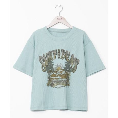 [^ԁF4CA-5302-2025]SnǂbtfނTVcBĂɓłAoNωy߂fނłBnC̃TZbgC[WOf[Ṽvgڂ䂭ꖇłB