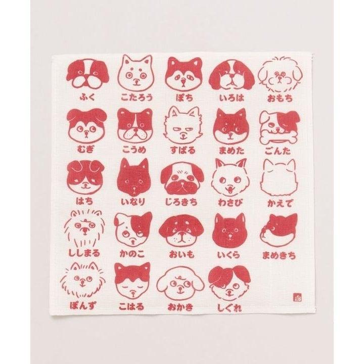 [}C]yJẑOӂ/Jikayaj bh