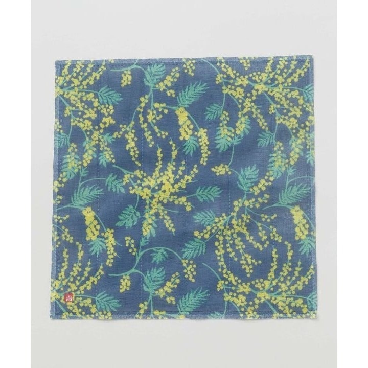 [}C]yJza_Ԃӂ/Jikayaj lCr[