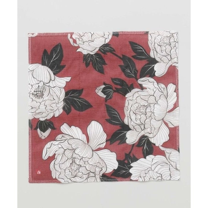 [}C]yJztԂӂ/Jikayaj ̑2