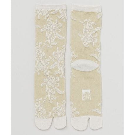 [^ԁF7JKP6121-2025]ՂՂƂt[gHŋẻԂ𕂂яオ点܌CBT_ɂ₷Aaɂmɂ킹₷fUCB`̋e͗l{炵CiꑫłB