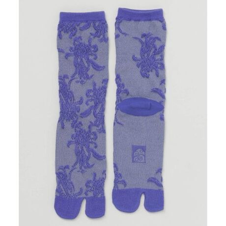 [^ԁF7JKP6121-2025]ՂՂƂt[gHŋẻԂ𕂂яオ点܌CBT_ɂ₷Aaɂmɂ킹₷fUCB`̋e͗l{炵CiꑫłB