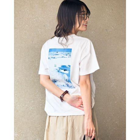 [^:467R5434]I[KjbNRbg100̓ʐ^ƁEOMsƃR{[VsVcłBnɍvƂzAg̏ےłŊ@ɂVN}`[tɂʐ^gpĂ܂B݂̃^OvgȂ̂Œp̍ہA񌳂`N`NCɂȂ܂BZbgCX[ułAɂȂȂVGbgō܂BAC{[̓obNvgAubN͐ʃvgɂĂ܂B