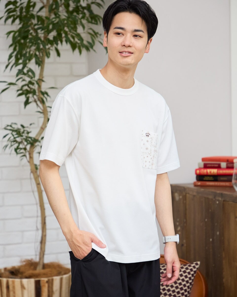 [}C]vgTVc/S[fxAiGOLDENBEARj AC{[