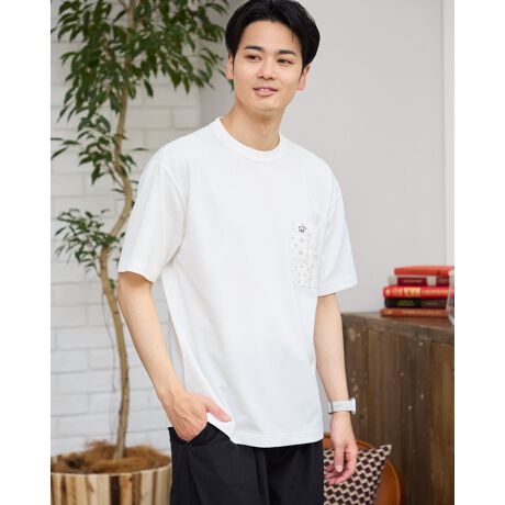 [^:314R7541]|Pbgo_ivg̕ʕzŐ؂ւN[lbNTVcłBzɗDꂽ̎qfނgpĂ܂BƂSnłBVc⃉CgAE^[̃Ci[ƂĒ񂵂₷TVcłB