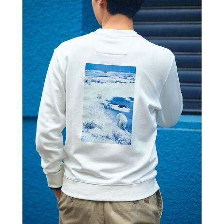 [^:314RD440]ʐ^ƁEOMsƃR{[VsVcłBnɍvƂvAg̏ےłŊ@ɂzbLNO}`[tɂʐ^gpĂ܂BI[KjbNRbg100%̗ёfނgpA炩Ȕ肪łBlɂAɂ₳XEFbgłB