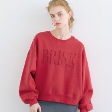 ヘビーウェイト裏起毛ビンテージ加工ロゴスウェット 全4色