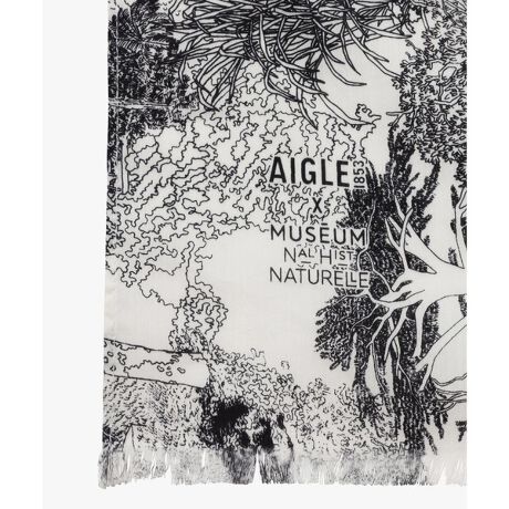 [^ԁFZRSBO58]yAIGLE ~ RjفiMNHNjzp̒SɈʒuےIȒ뉀AuRjفiMNHNjvƂ̃R{[V2eoB AƉ`[tɂ@ׂȐvgAssɁg΁h̃bZ[W͂܂BRbg~VNTCYF70 ~ 180cm