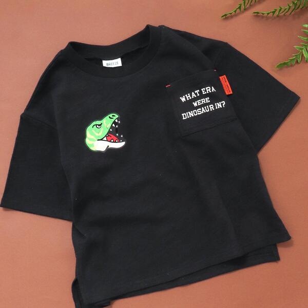 福井県立恐竜博物館コラボ恐竜クイズベトTシャツ | エフオーオンライン