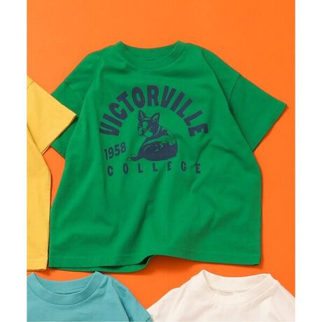 [^ԁFJ207985]BREEZE(u[Y)̔TVcuWEB JovgTVcv́A荠ȉiƖLxȃoG[VlCIʉEʊwɂgfUCA񂵗͔QłI舵̂Ӂ̏ĩvg͐JԂƂɂANсE򂪏XɏAЂъAE邱Ƃ܂Bo邾p߂Ɏ̂ƂɂӉB@Aۊǂ̍ہAvgʓmdȂȂlɂӉB@vĝݐ􂢂^u@̎gp͂B@A݂₩ɍLĉB@E͎キA`𐮂Ă犱ĉB@vgɃAC𓖂ĂȂŉB#BREEZEyTCYz90Fg39 g39 35 9.5 13100Fg43 g41 37 10.5 13.5110Fg46 g43 39 11.5 14120Fg49 g45 41 12.5 14.5130Fg52 g47 43 14 15140Fg55 g49 45 15.5 16150Fg59 g52 47 17 17