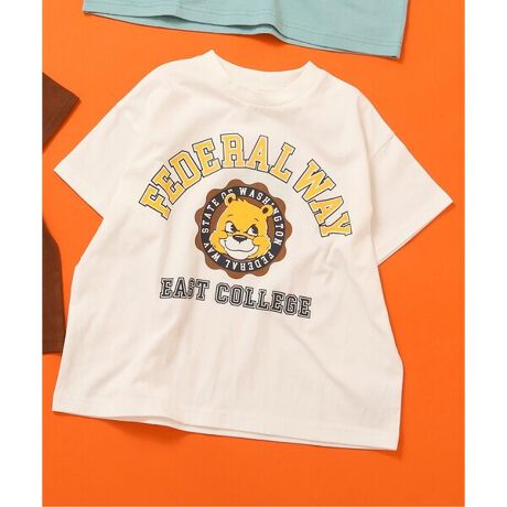 [^ԁFJ207985]BREEZE(u[Y)̔TVcuWEB JovgTVcv́A荠ȉiƖLxȃoG[VlCIʉEʊwɂgfUCA񂵗͔QłI舵̂Ӂ̏ĩvg͐JԂƂɂANсE򂪏XɏAЂъAE邱Ƃ܂Bo邾p߂Ɏ̂ƂɂӉB@Aۊǂ̍ہAvgʓmdȂȂlɂӉB@vĝݐ􂢂^u@̎gp͂B@A݂₩ɍLĉB@E͎キA`𐮂Ă犱ĉB@vgɃAC𓖂ĂȂŉB#BREEZEyTCYz90Fg39 g39 35 9.5 13100Fg43 g41 37 10.5 13.5110Fg46 g43 39 11.5 14120Fg49 g45 41 12.5 14.5130Fg52 g47 43 14 15140Fg55 g49 45 15.5 16150Fg59 g52 47 17 17