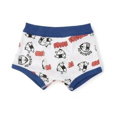 ブリーズ(BREEZE)のBOYSポップソウガラボクサーパンツ