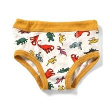 ブリーズ(BREEZE)のBOYSバラエティブリーフパンツ