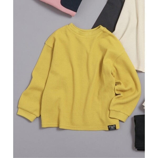 [}C]yO㒅pOKzǂ DAISUKI btT/u[YiBREEZEj CG[