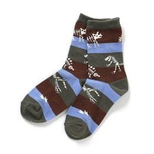 恐竜地層柄ソックス