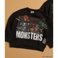 ブリーズ(BREEZE)の【ゴジラ】70周年歴代ゴジラ&怪獣トレーナー