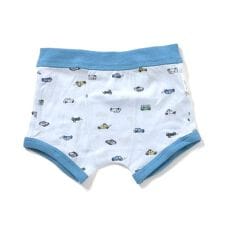 小さな柄 ボクサーパンツ