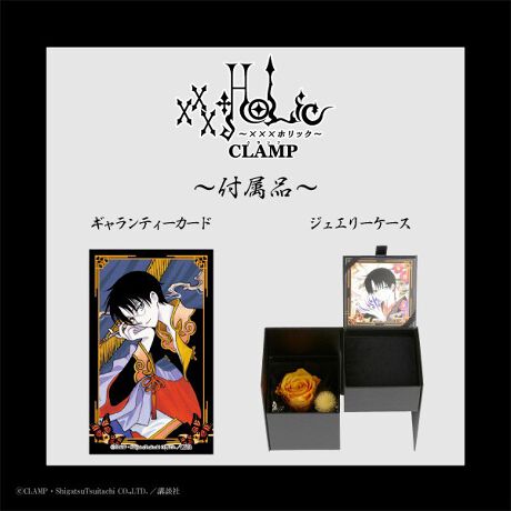 【xxxHOLiC】シルバーアクセサリーリング＆ジュエリーケースセット＜四月一日 君尋＞