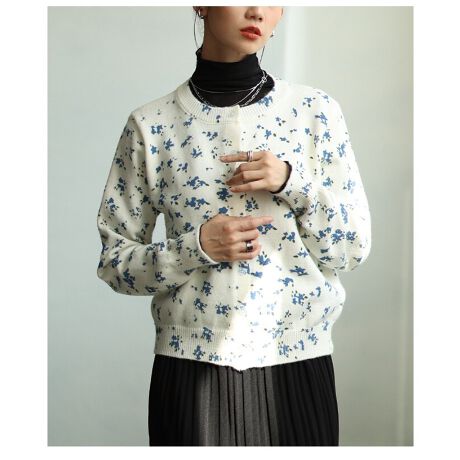 [^:ALJUN-1010S]RpNgȃVGbg̃J[fBKɏԃvgŉ炵vXBHD͖ܘ_gbvXƂĂp܂B