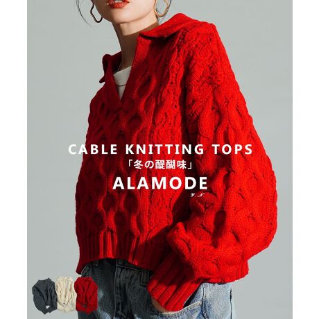 [^:ALDT-361R1682]̋G߂ɎĂقIV[Y[hQ̃P[u҂݃jbgłB̋G߂炱y߂P[u҂݂̓Ɠ̎ɂƂIƕ҂܂ꂽJWAȃjbg͂ǂȃ{gXƂQł